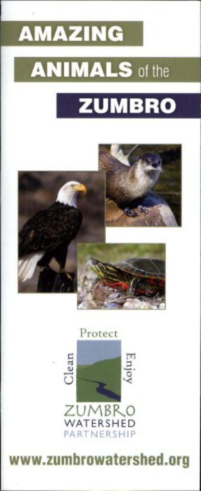 Amazing Animals of the Zumbro