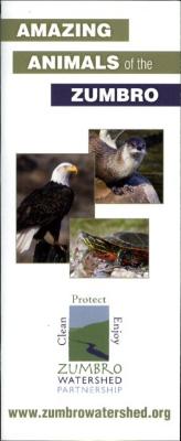 Amazing Animals of the Zumbro