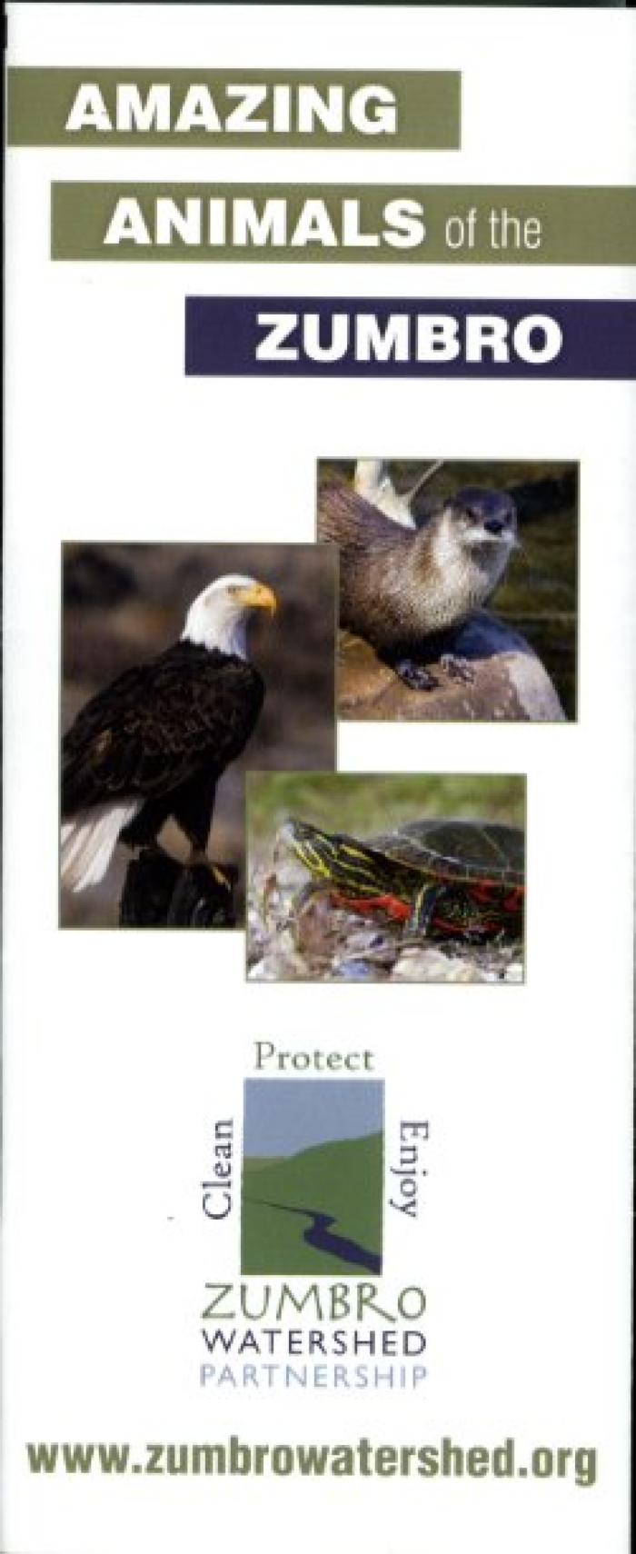 Amazing Animals of the Zumbro