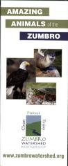 Amazing Animals of the Zumbro