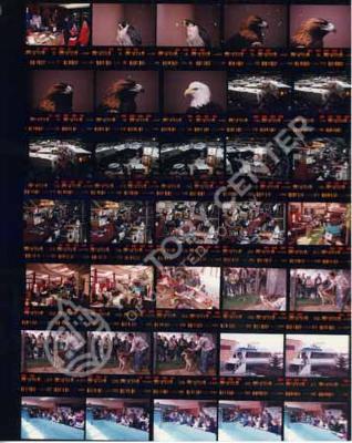 Sport, Boat, and RV Show Photo Contact Sheet
