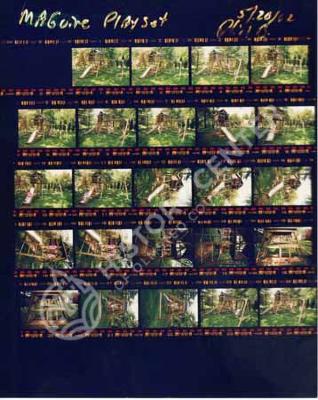 Maguire Playset