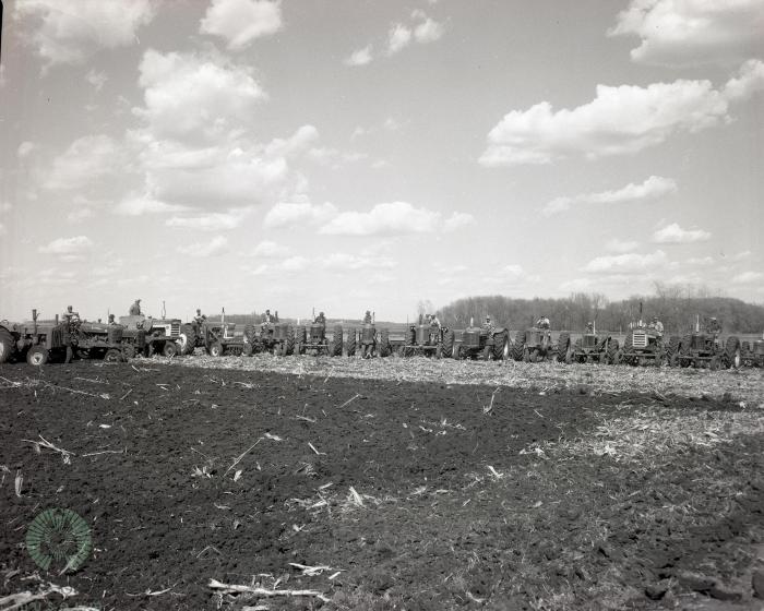Farming Bee At Newman B. Erickson's Farm, Barsness Township, Minnesota