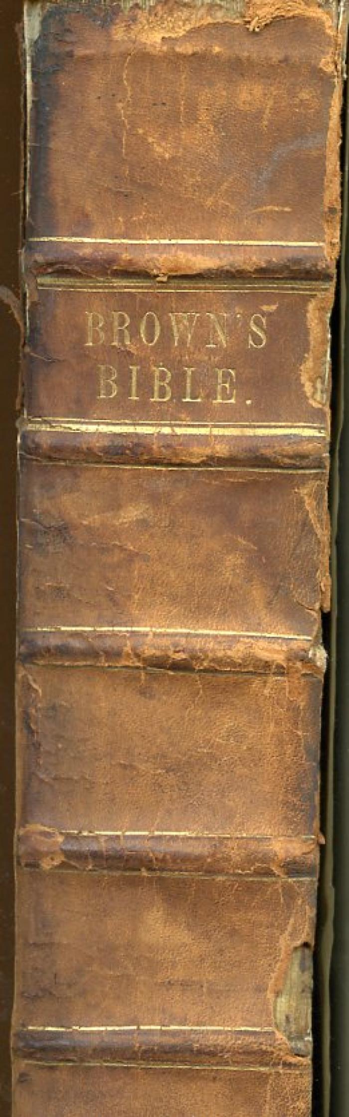 Brown's Self-interpreting Family Bible