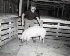 1962 Pope County 4-H, Glenwood, Minnesota 