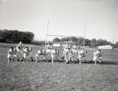 1962 Starbuck High School Boys Football, Starbuck, Minnesota