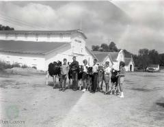 1963 Pope County Achievement Days, 4-H Dairy, Glenwood, Minnesota 