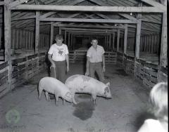 1963 Pope County 4-H Achievement Days, Glenwood, Minnesota 