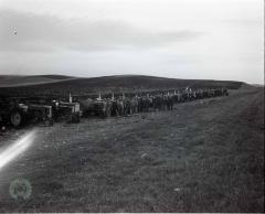 Barsness Lutheran Congregation Plowing Bee, Barsness Township, Minnesota 