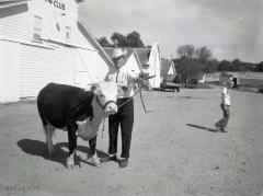 Pope County 4-H, Glenwood, Minnesota 