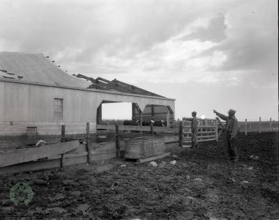 Tornado Damage, New Prairie Township, Minnesota 