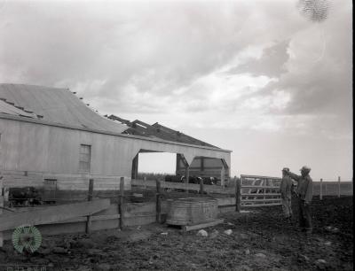 Tornado Damage, New Prairie Township, Minnesota 