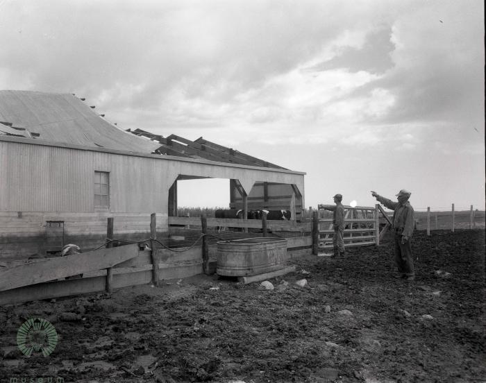 Tornado Damage, New Prairie Township, Minnesota 