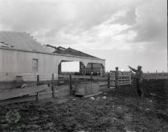 Tornado Damage, New Prairie Township, Minnesota 