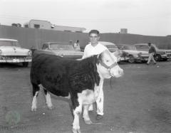 1964 Pope County Fair, Glenwood, Minnesota