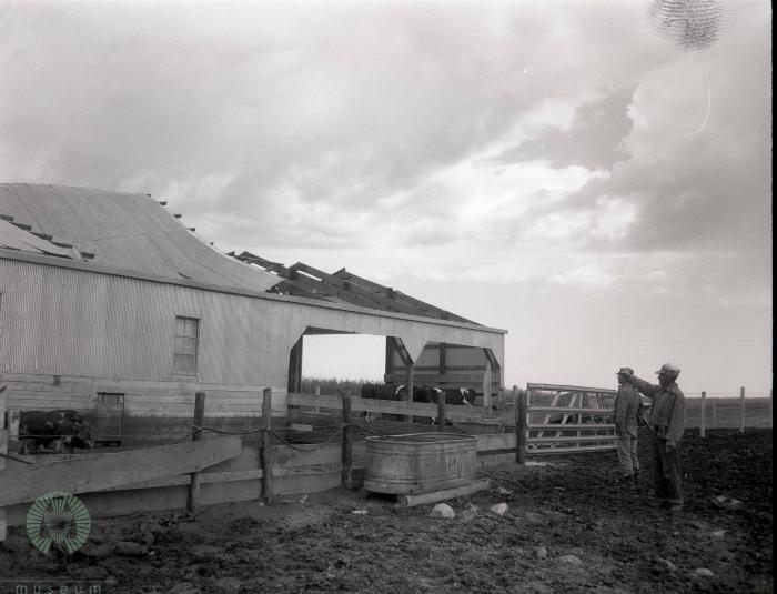 Tornado Damage, New Prairie Township, Minnesota 