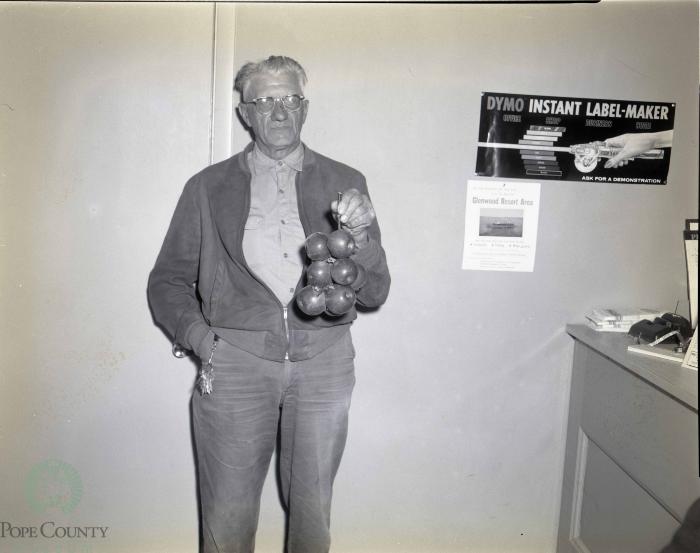Herman Quist Holds Twig Of Apples, Glenwood, Minnesota 
