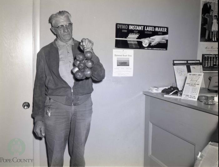 Herman Quist Holds Twig Of Apples, Glenwood, Minnesota 