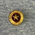 Gold Star Pin
