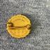 Gold Star Pin