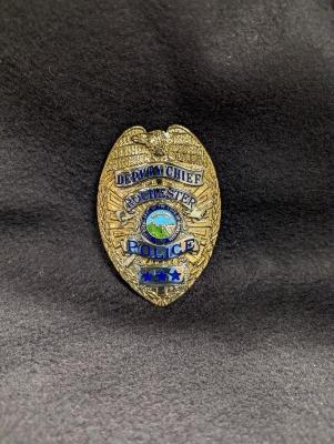 Law Enforcement Badge