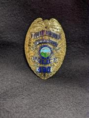 Law Enforcement Badge
