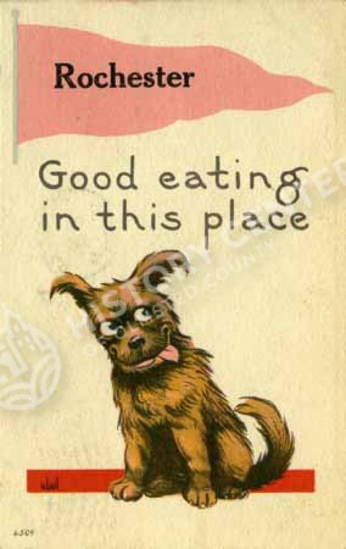 Cartoon card, Rochester, Minn.