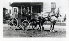 M.F.D. Horse Shower