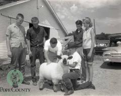 1965 4-H Achievement Day, Glenwood, Minnesota 