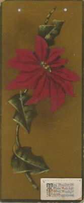 1920 Calendar
