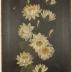 Painting, Water Lilies, by Sophia Johnson, 1895