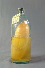 Cucumber Pickle in Bottle