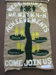 Banner - Villard Livewires 4-H