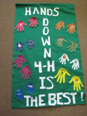 4-H Banner