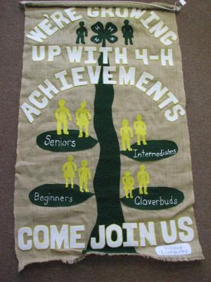 Banner - Villard Livewires 4-H