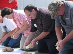 3rd Annual Potato peeling contest
