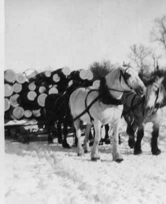 horse drawn sled w/logs,  Feb 1939