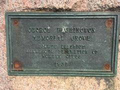 Photos of George Washington Memorial Grove plaque