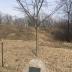 Photos of George Washington Memorial Grove plaque