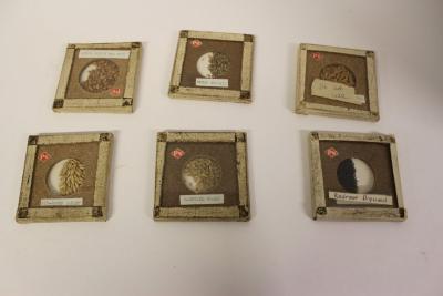 Seed Samples Set #1