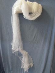 Emma (Erickson) Peterson Wedding Veil