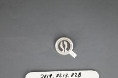 Political Pin