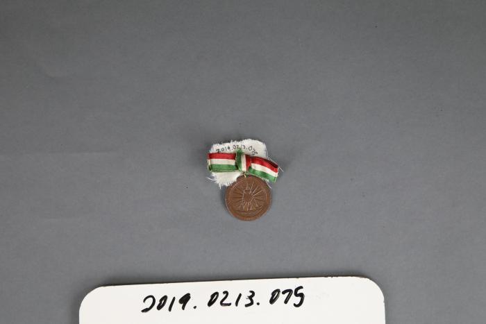 Promotional Pin