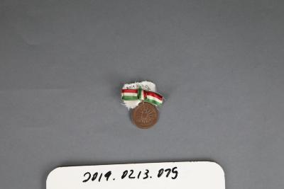 Promotional Pin