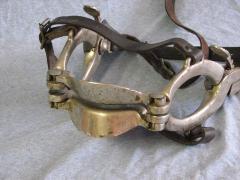 Speculum, Animal