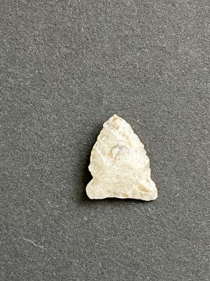 Archaeological Artifacts