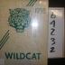 1958 Wildcat