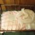 Child's Bed, Cradle, Brown wood frame