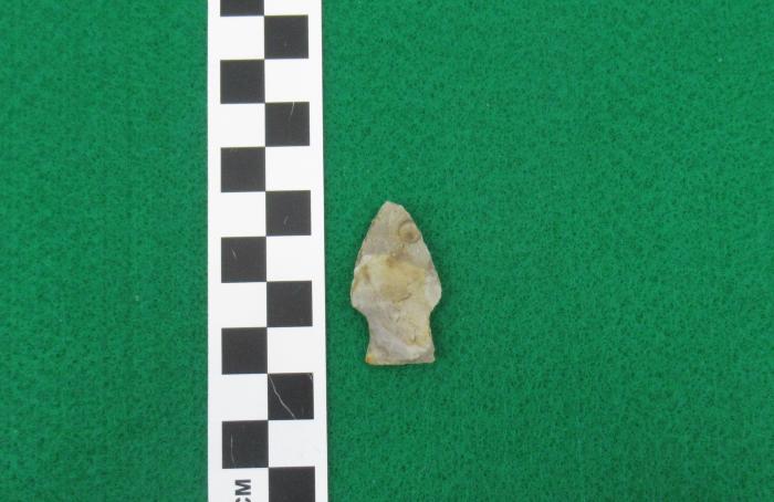 Projectile Point