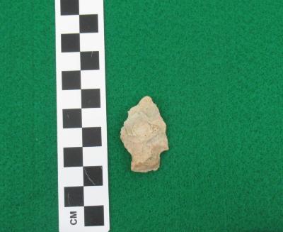 Projectile Point